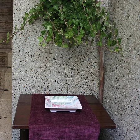 Casa Monte S.joao Feriehus