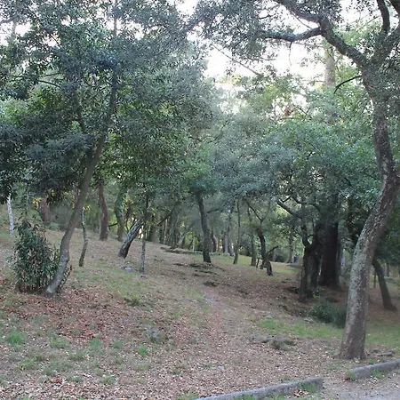 Casa Monte S.joao Feriehus