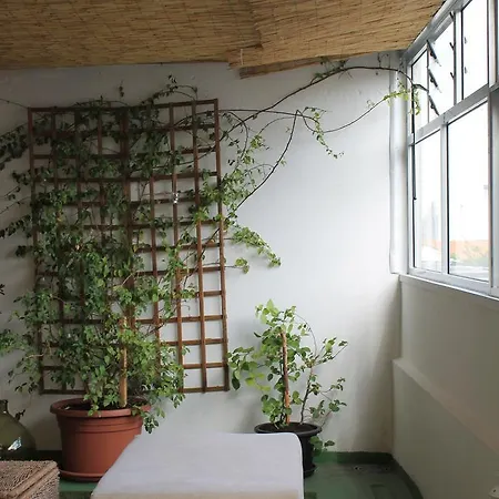Casa Monte S.joao Feriehus Porto